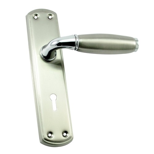 "Ananias" SS Door Handle with SS Plate 